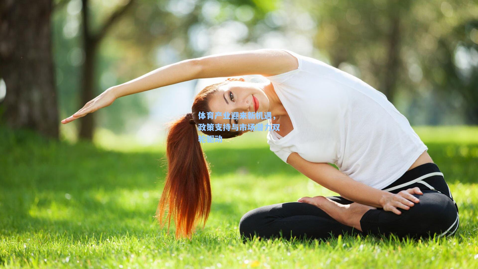 体育产业迎来新机遇，政策支持与市场潜力双轮驱动